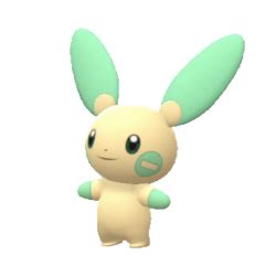 minun serebii|minun dna.